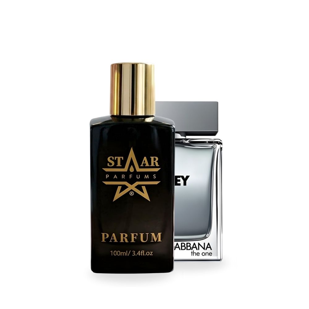 286 the one grey dolce gabbana